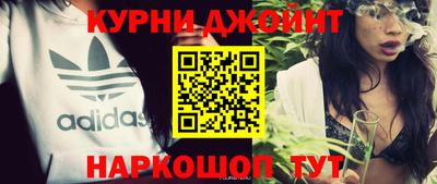 Альфа ПВП Кингисепп