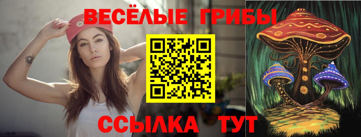 Элиста  Псилоцибиновые грибы Cubensis  Вход с VPN 
