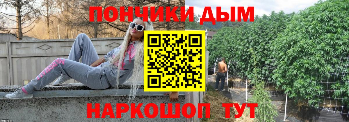 Шишки марихуана Bruce Banner  Вход с VPN  Марихуана сатива  Элиста 
